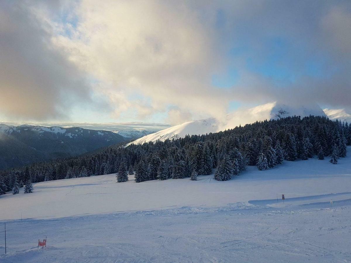 Apartmán Praz-Du-Soleil F3 Les Gets Exteriér fotografie