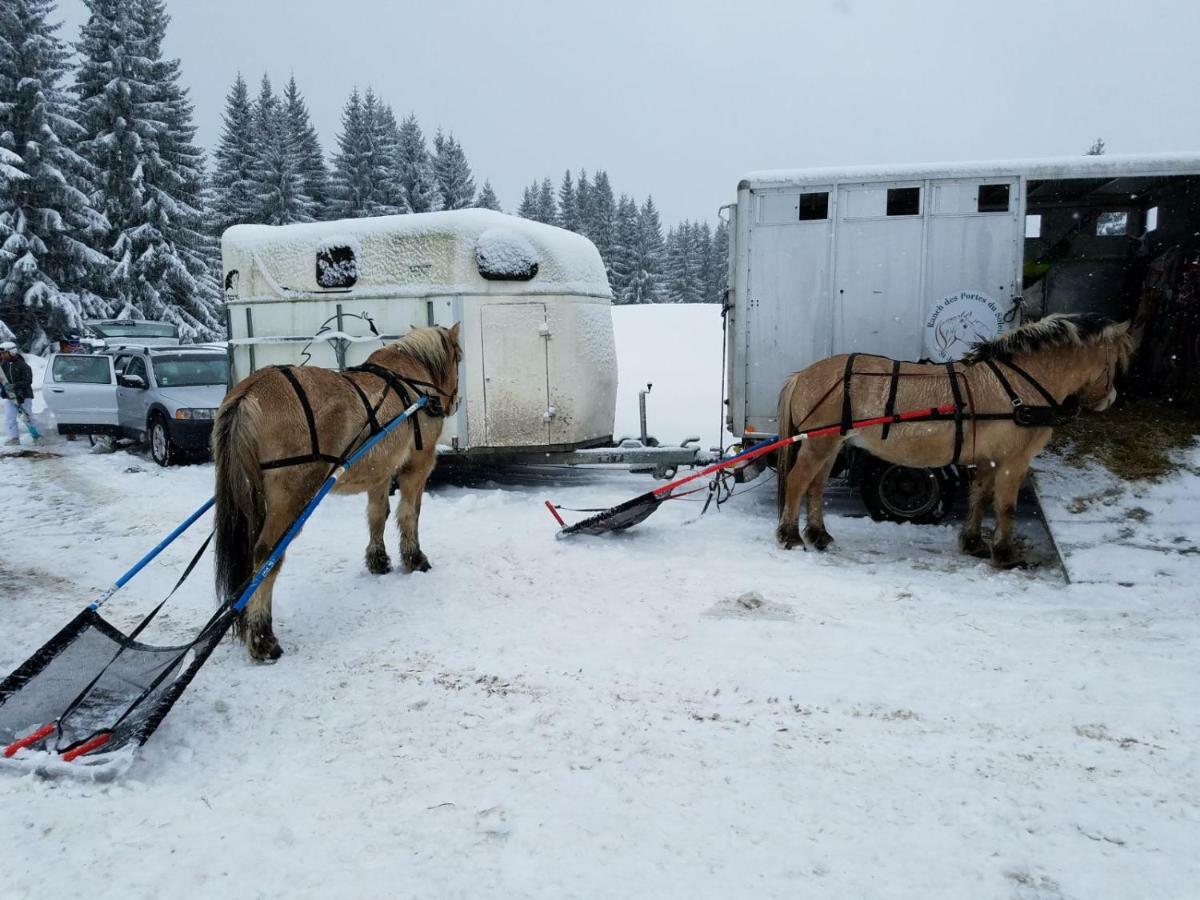 Apartmán Praz-Du-Soleil F3 Les Gets Exteriér fotografie